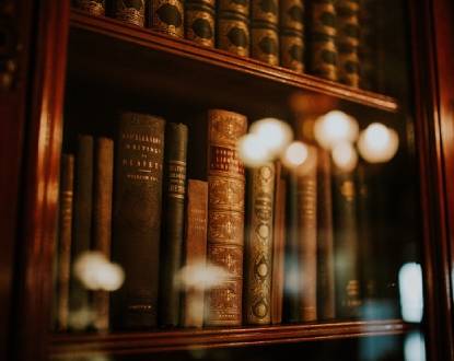 BOOKSHELVES
